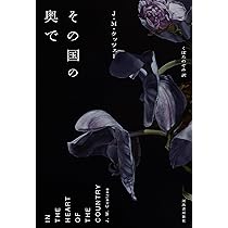 ポーランドの人 | J.M.クッツェー, くぼた のぞみ |本 | 通販 | Amazon